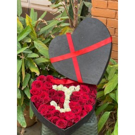 Red & White Roses in Heart-Shaped Gift Box Red & White Roses in Heart-Shaped Gift Box