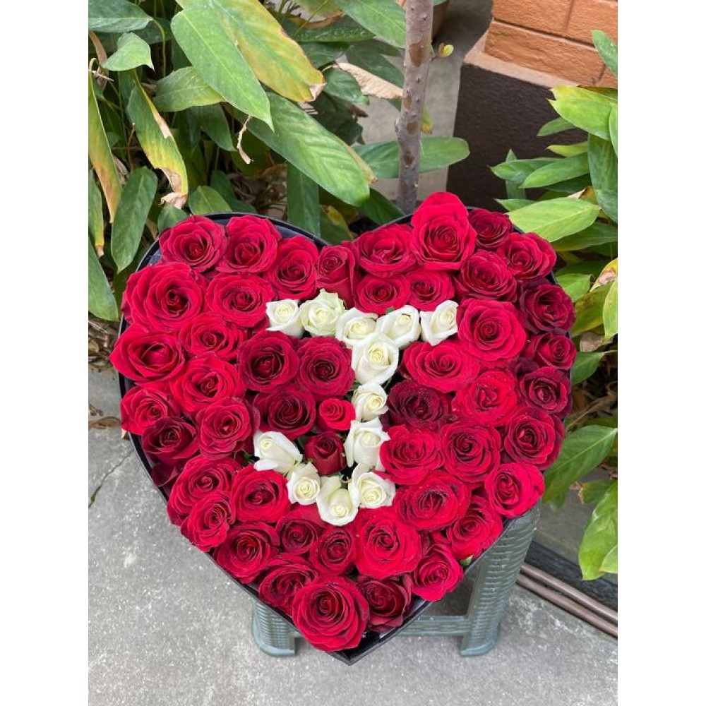 Red & White Roses in Heart-Shaped Gift Box Red & White Roses in Heart-Shaped Gift Box
