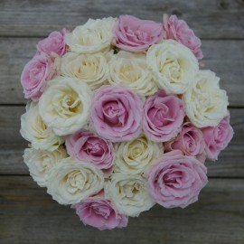 Light Pink and White Roses - 20 Stems