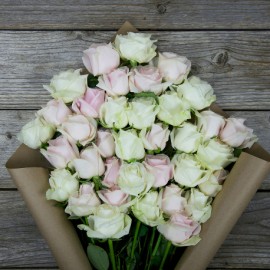 Light Pink and White Roses - 20 Stems