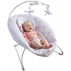Fisher Price  Fairytale Deluxe Bouncer 