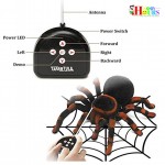 Remote Control Spider Toy Remote Control Spider Toy