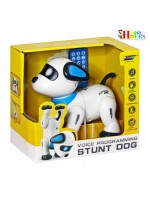 Voice Programing Stunt Dog