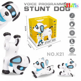Voice Programing Stunt Dog