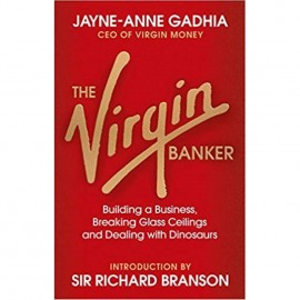 The Virgin Banker By Jayne Anne Gadhia